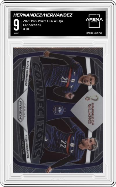 Lucas Hernandez/Theo Hernandez