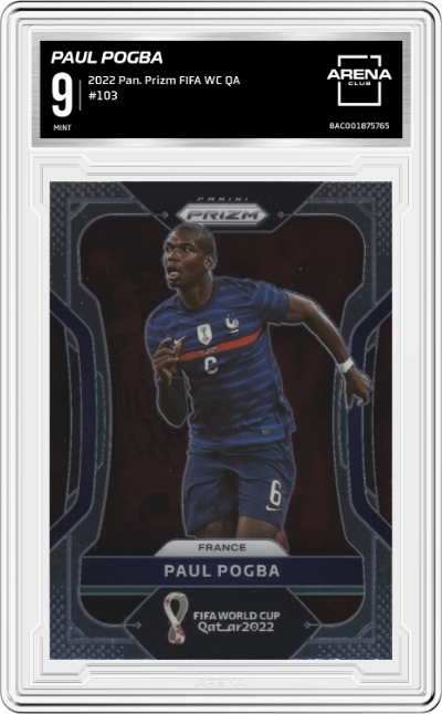 Paul Pogba