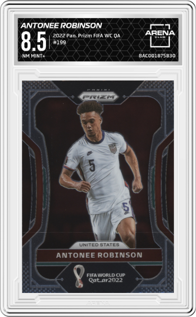 Antonee Robinson
