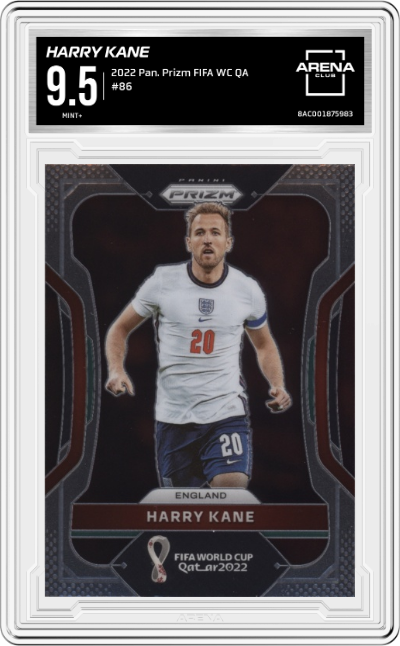 Harry Kane