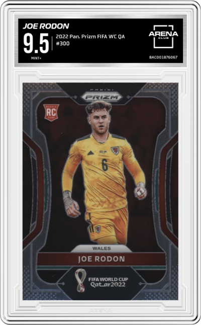 Joe Rodon