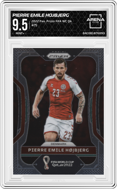 Pierre Emile Hojbjerg