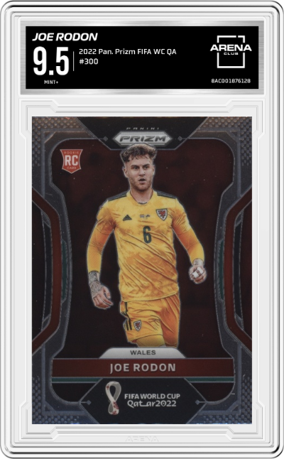 Joe Rodon