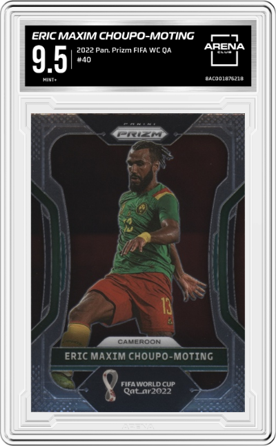 Eric Maxim Choupo-Moting