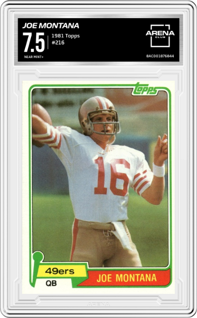 Joe Montana