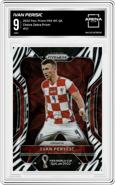 Ivan Perisic