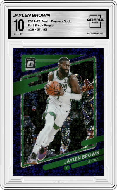Jaylen Brown