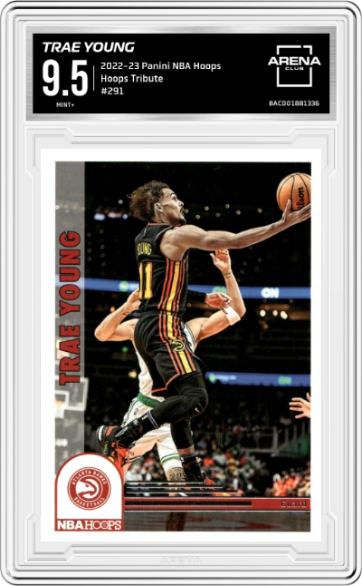 Trae Young