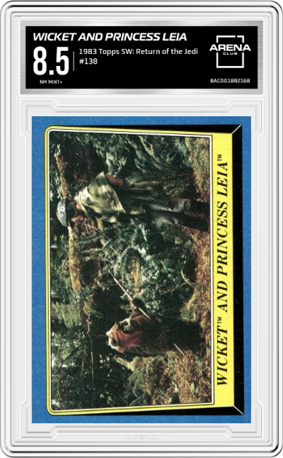 Wicket and Princess Leia