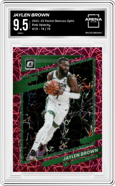Jaylen Brown