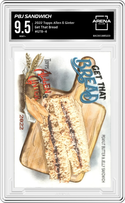 Peanut Butter And Jelly Sandwich