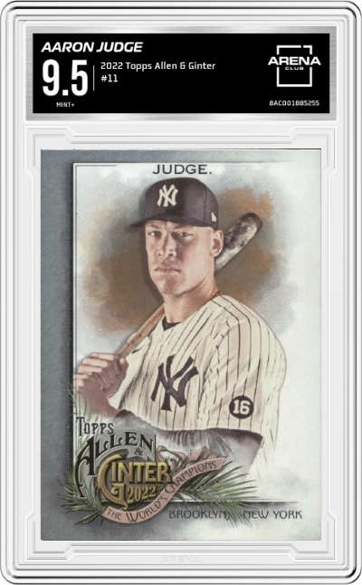 Aaron Judge