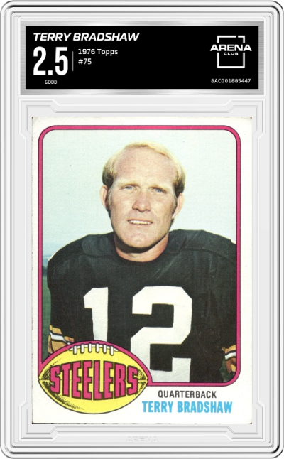 Terry Bradshaw