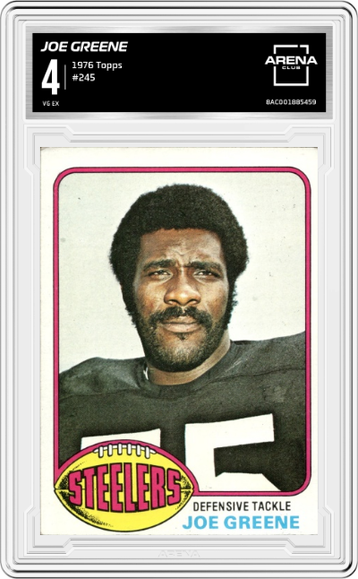 Joe Greene 