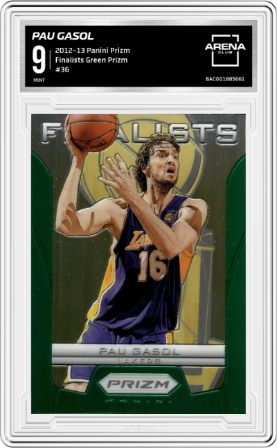Pau Gasol