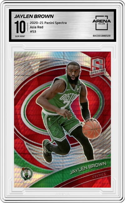 Jaylen Brown