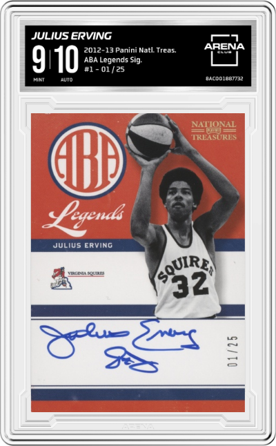 Julius Erving