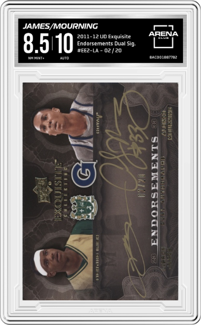 Lebron James/ Alonzo Mourning