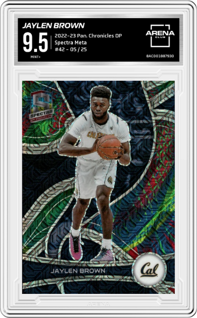 Jaylen Brown