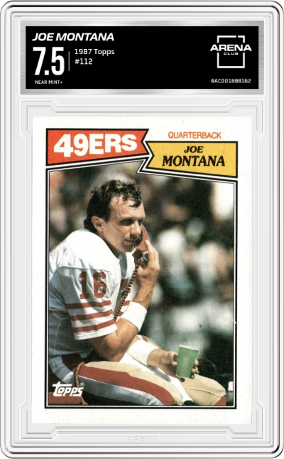 Joe Montana