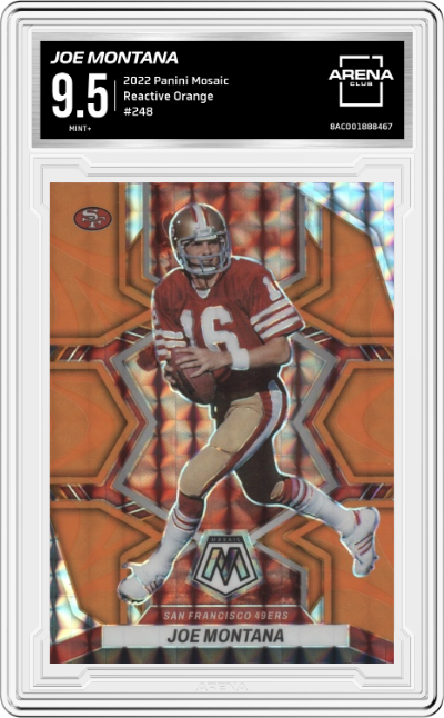 Joe Montana