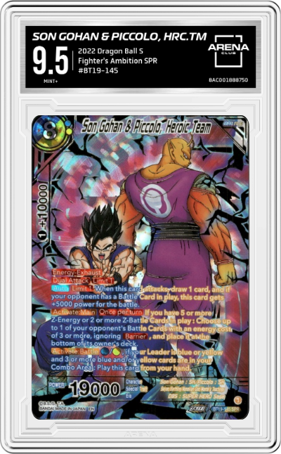 Son Gohan & Piccolo, Heroic Team