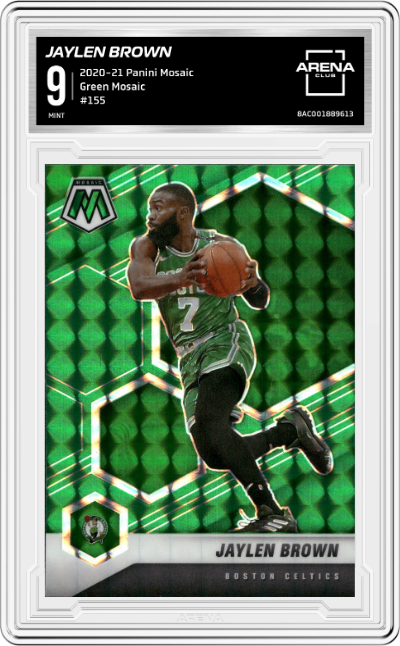 Jaylen Brown