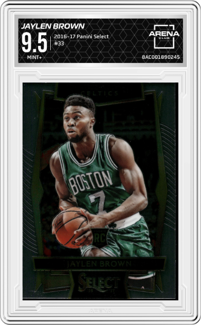 Jaylen Brown