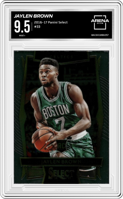 Jaylen Brown
