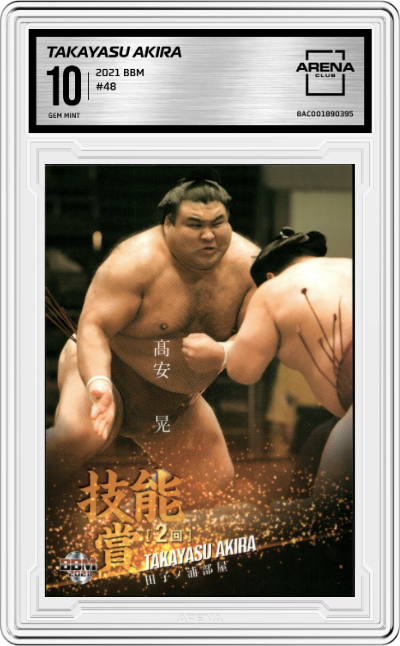 Takayasu Akira