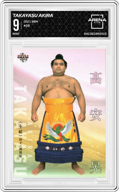 Takayasu Akira