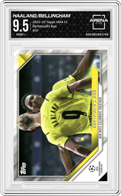 Erling Haaland/Jude Bellingham