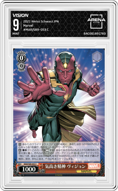 Vision, Noble Spirit 