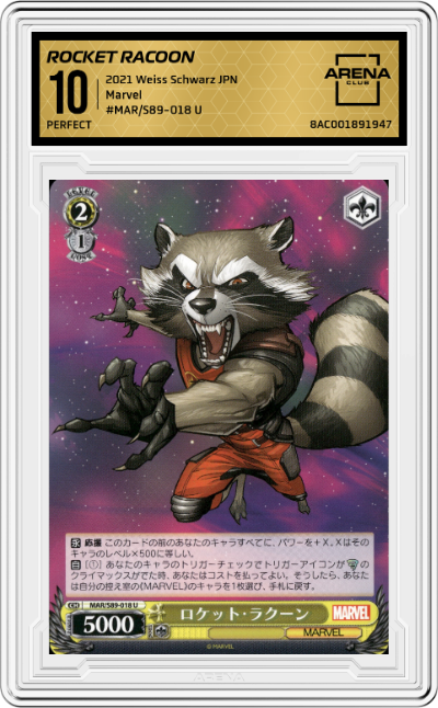 Rocket Racoon