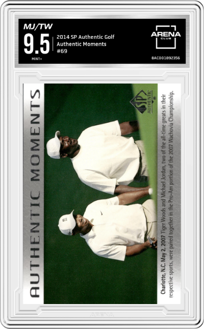 Michael Jordan/Tiger Woods