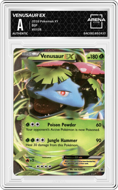 Venusaur EX