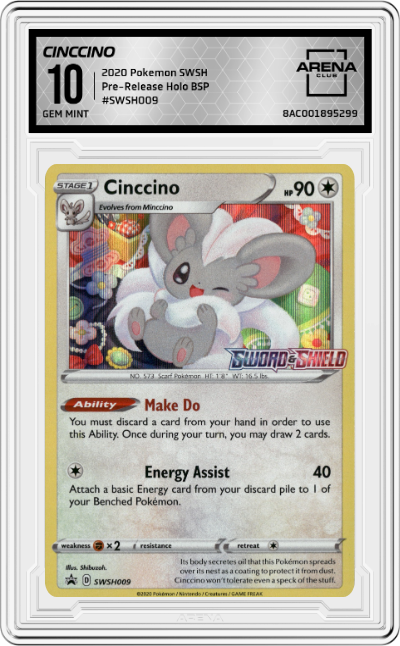Cinccino
