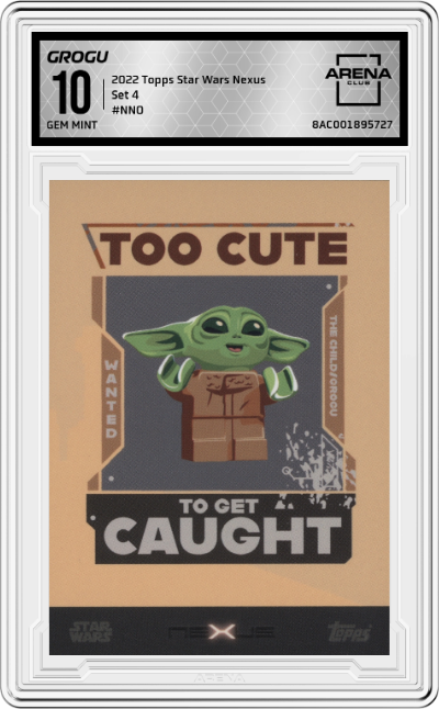 Too Cute To Get Caught