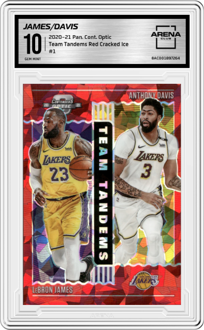 LeBron James/Anthony Davis