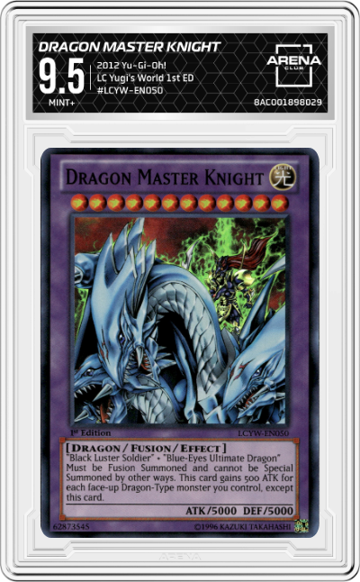 Dragon Master Knight