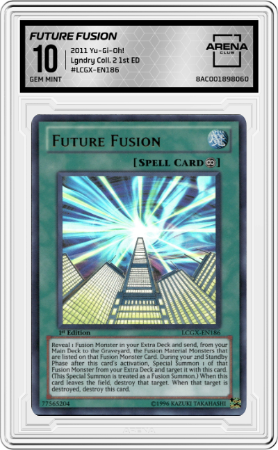 Future Fusion