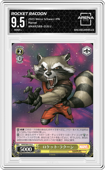 Rocket Racoon