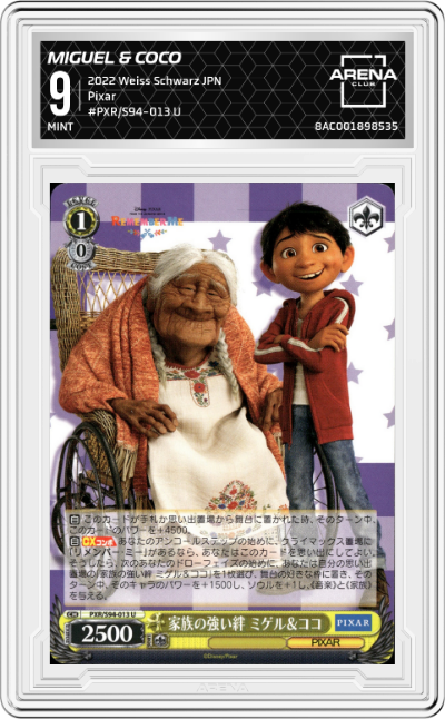 Strong Family Ties Miguel & Coco