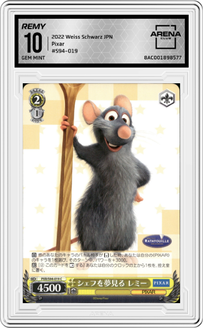 Remy Dreams of Being A Chef