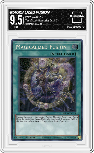 Magicalized Fusion