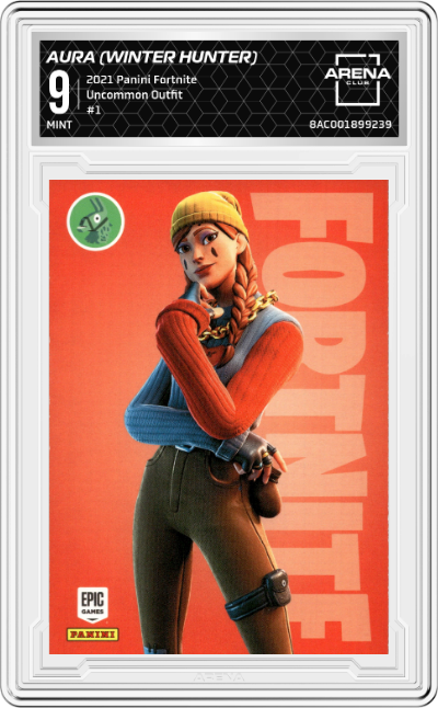 Aura (Winter Hunter)