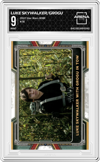 Luke Skywalker with Grogu in Tow