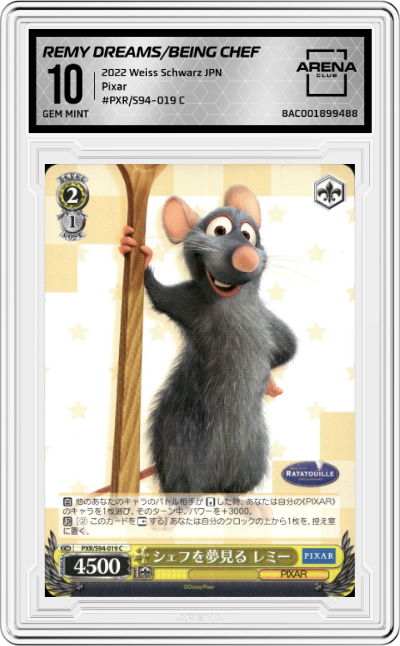 Remy Dreams of Being A Chef