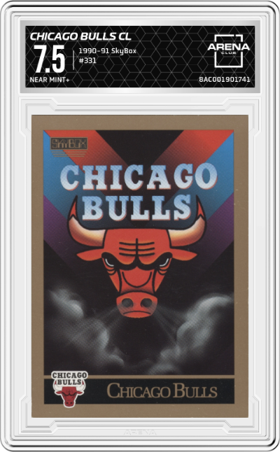 Chicago Bulls Checklist 