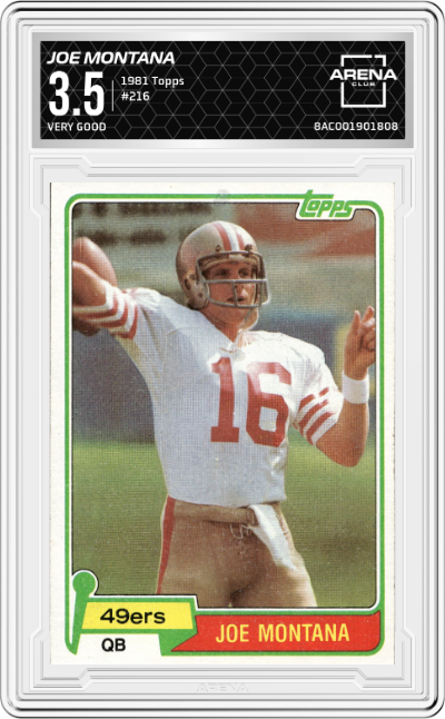 Joe Montana
